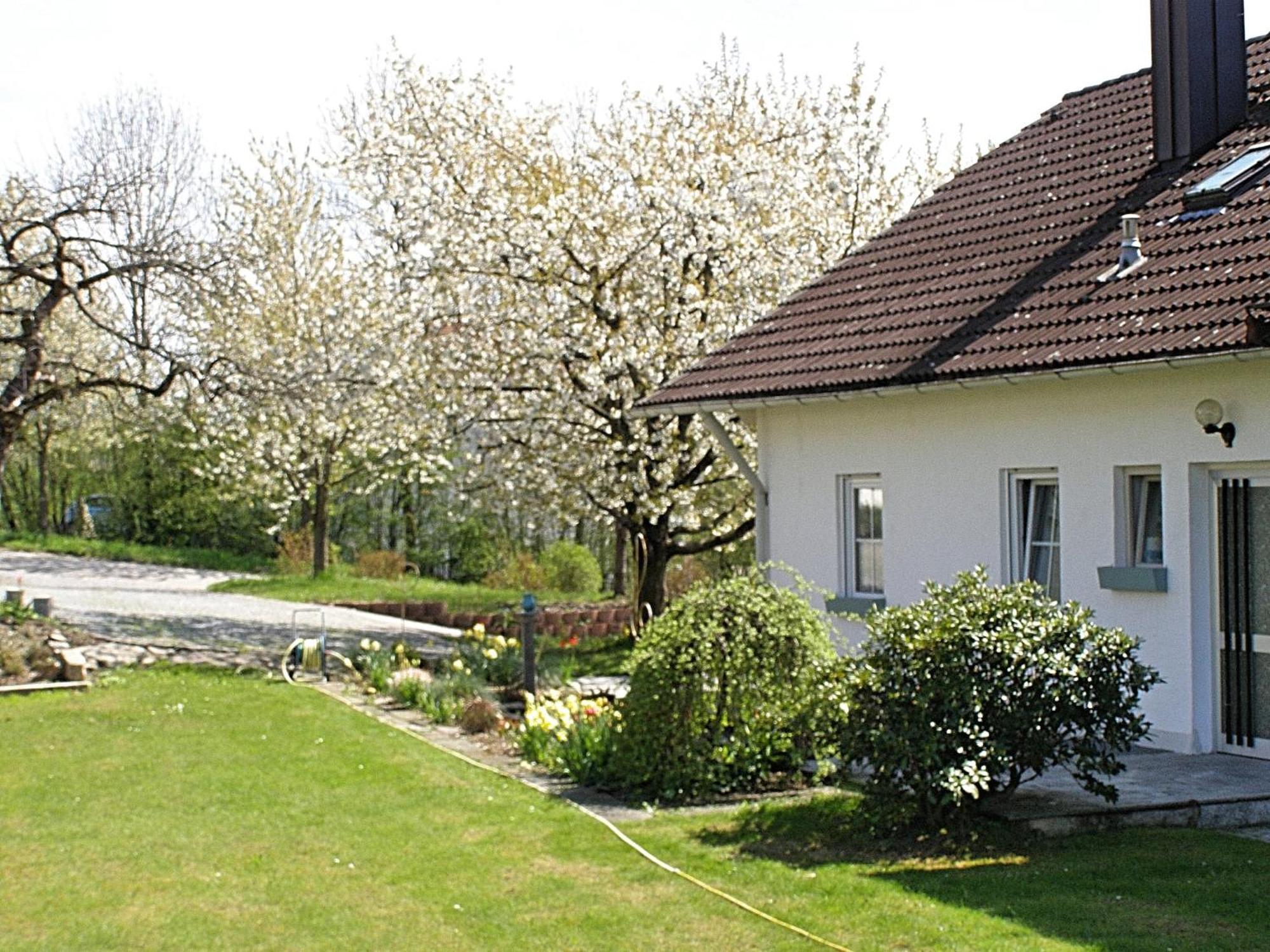 Welcoming Chalet near Forest in Röhrnbach Exterior foto